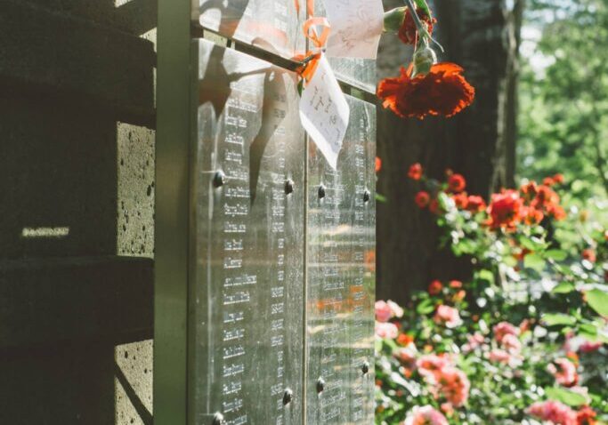 467523806_10161746616604801_2551138527322871976_n