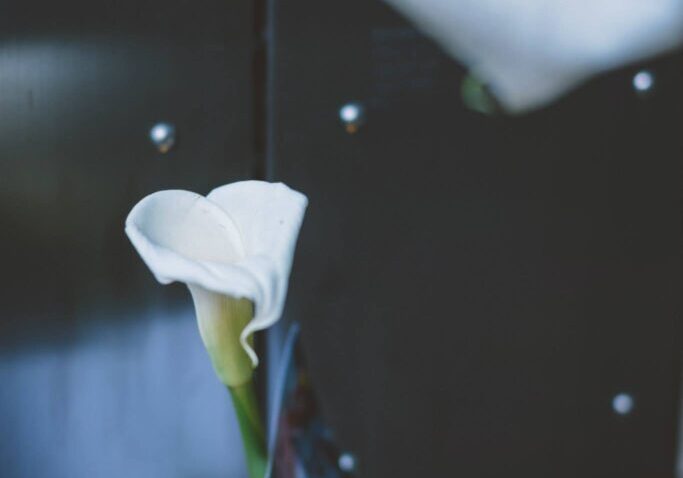 467554908_10161746617759801_2890014707374008845_n