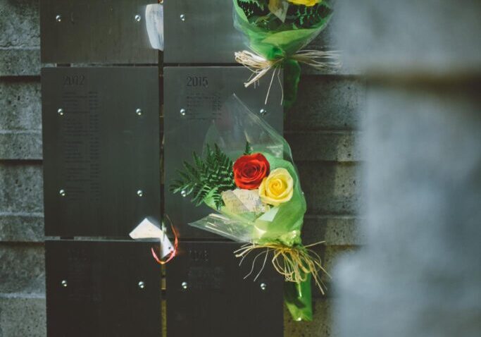 468301981_10161814214104801_7709210352319794915_n